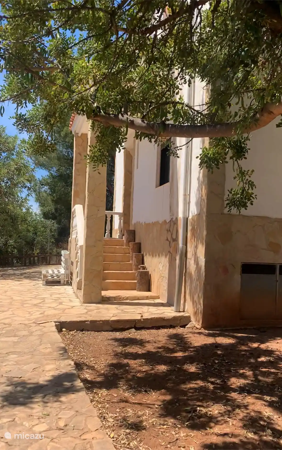 Vor der Villa Azahar mit einem schönen alten schattenspendenden Baum.