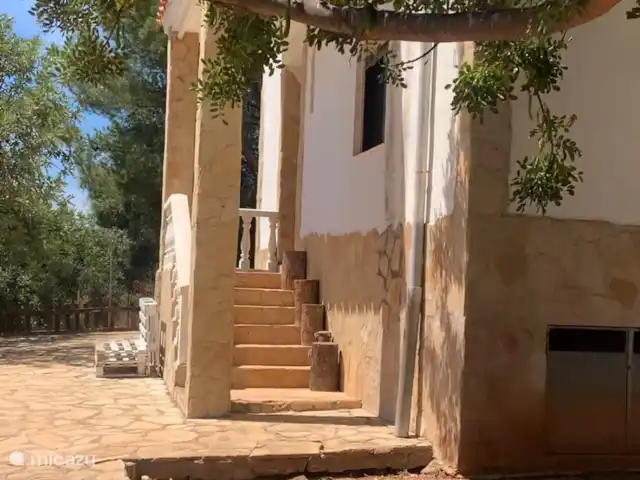 Villa Azahar en España, Valencia, Castellón - villa Frente a Villa Azahar con un hermoso árbol viejo y sombreado.