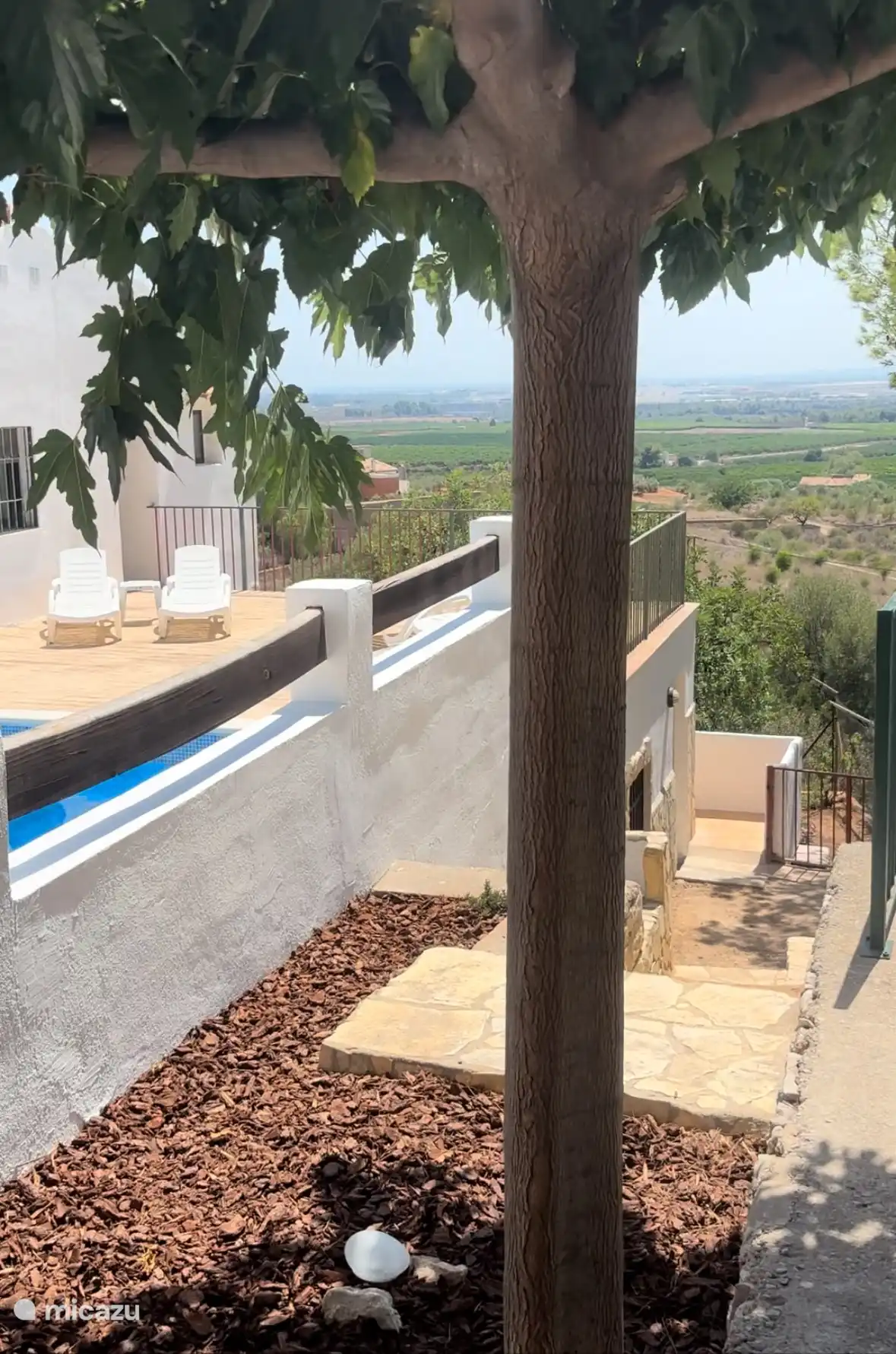 Schöne Aussicht über die Orangenfelder!