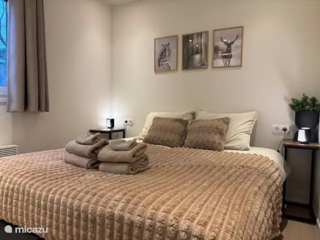Location de Vacances Pays-Bas, Overijssel, Haarle, chalet - Chalet Woody Chambre 1 avec lit de 160x200 cm (ou 2 x 80x200).