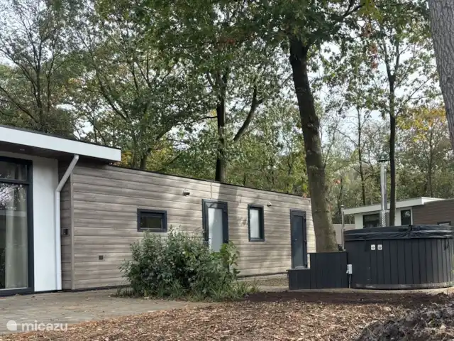 Location de Vacances Pays-Bas, Overijssel, Haarle, chalet - Chalet Woody Le jacuzzi
