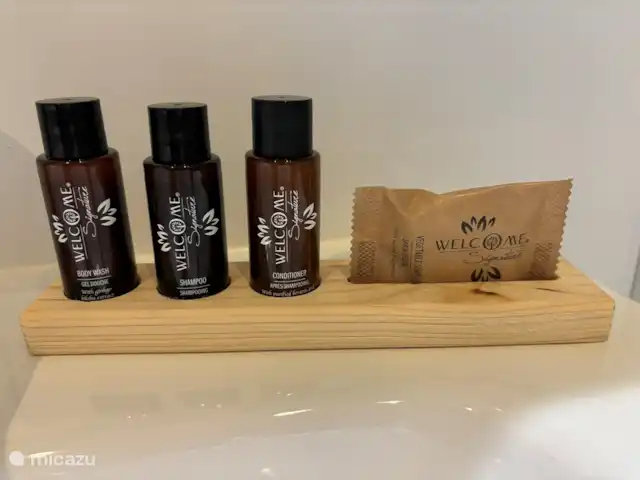 Location de Vacances Pays-Bas, Overijssel, Haarle, chalet - Chalet Woody Si vous n’êtes pas attaché à votre propre shampooing, vous pouvez le laisser à la maison.