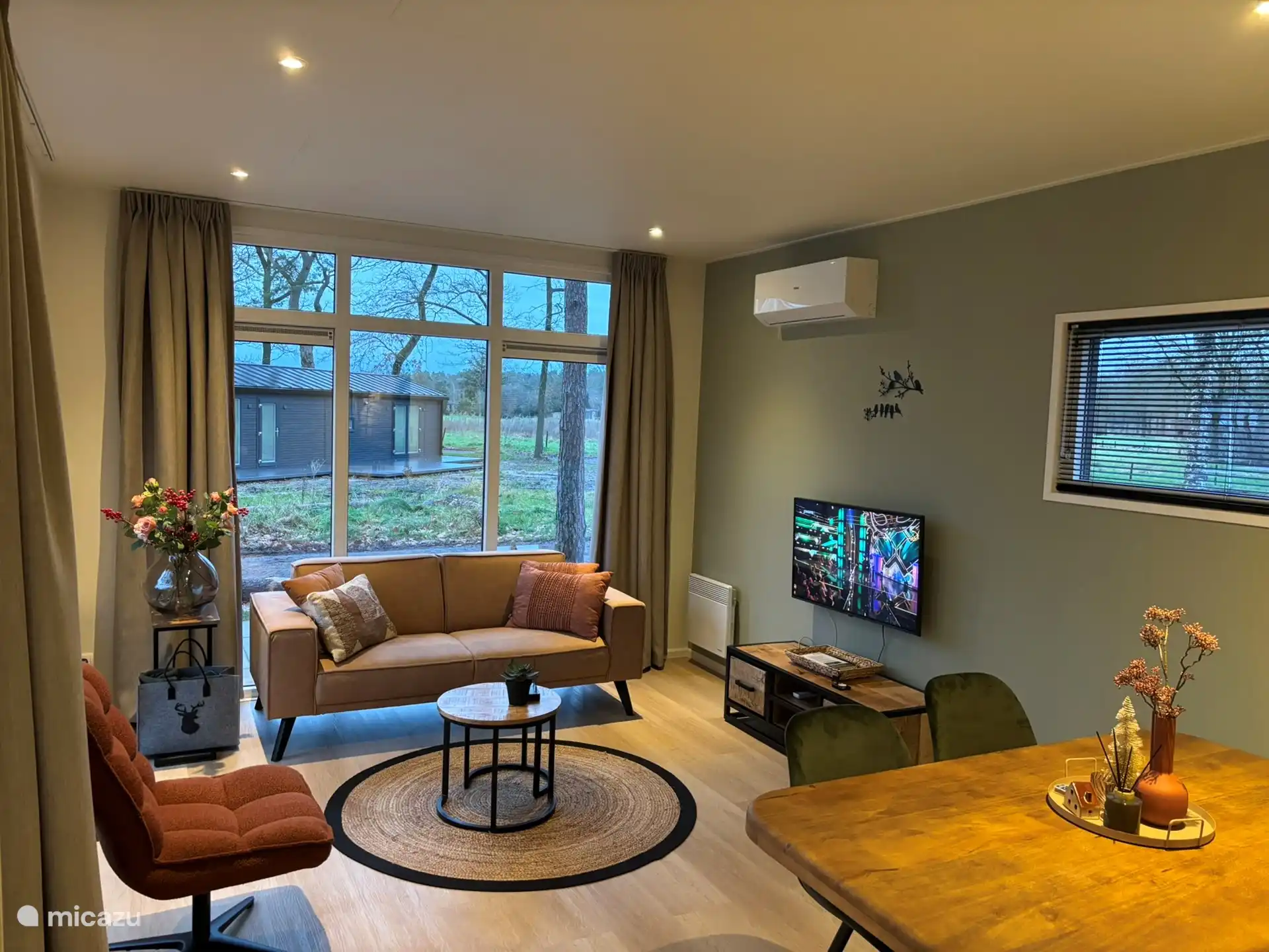 Salon avec TV, internet