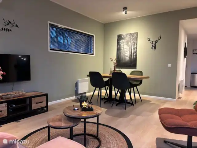 Location de Vacances Pays-Bas, Overijssel, Haarle, chalet - Chalet Woody Salle