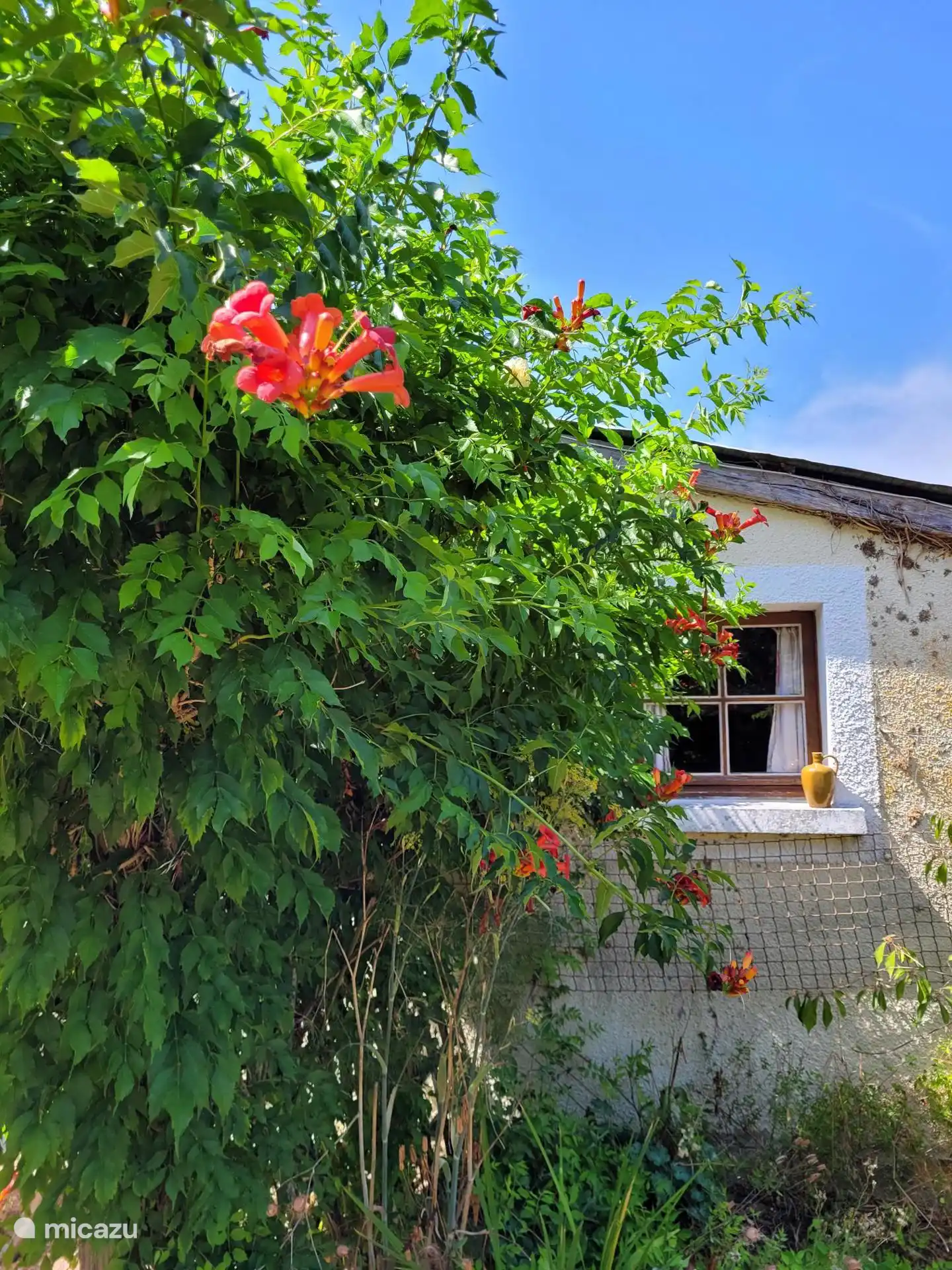 Fenêtre de la chambre