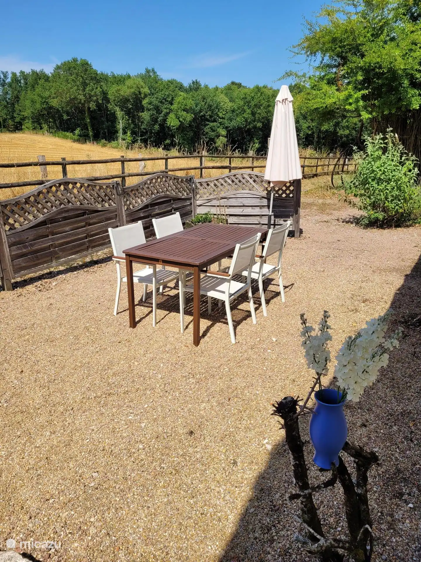 Dos de table de jardin