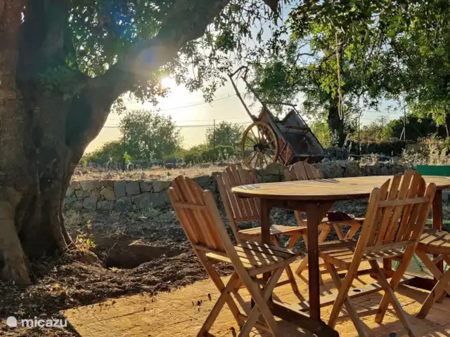 Location de Vacances Portugal, Algarve, São Brás de Alportel, villa - Villa Peral Arrière-cour