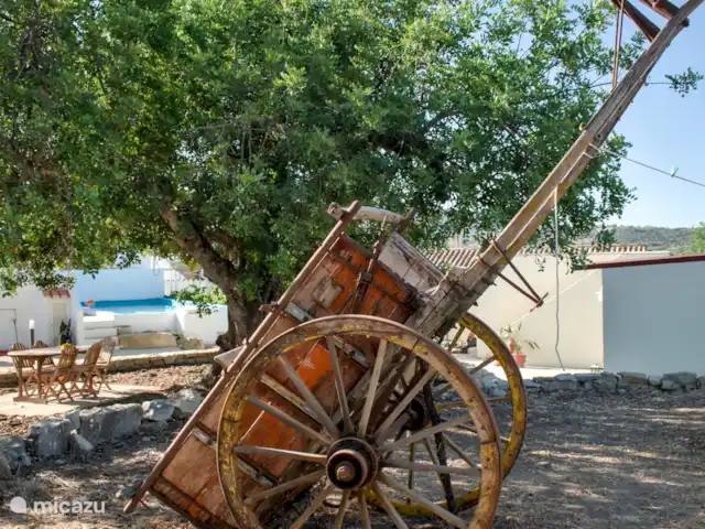Location de Vacances Portugal, Algarve, São Brás de Alportel, villa - Villa Peral Arrière-cour