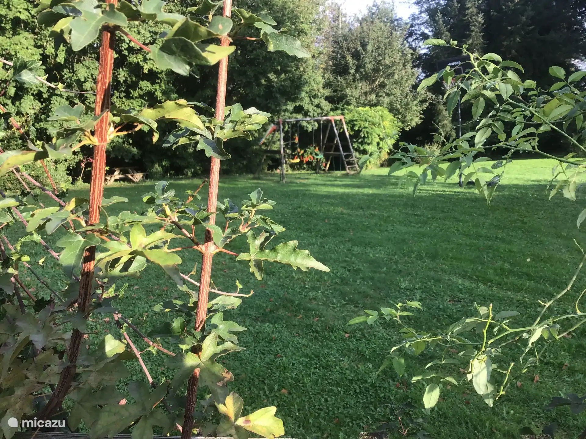 Gites Gilles - Garten