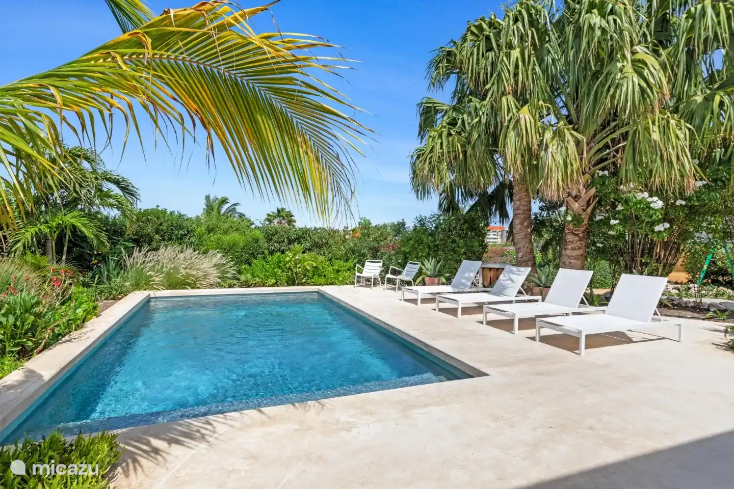 Swimming pool with sunbeds