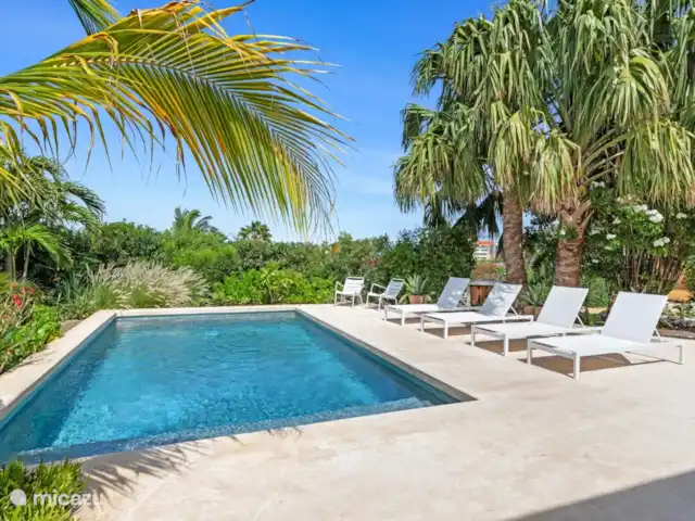 Bungalow 29 en Curazao, Curazao Centro, Piscadera - bungaló Piscina con tumbonas
