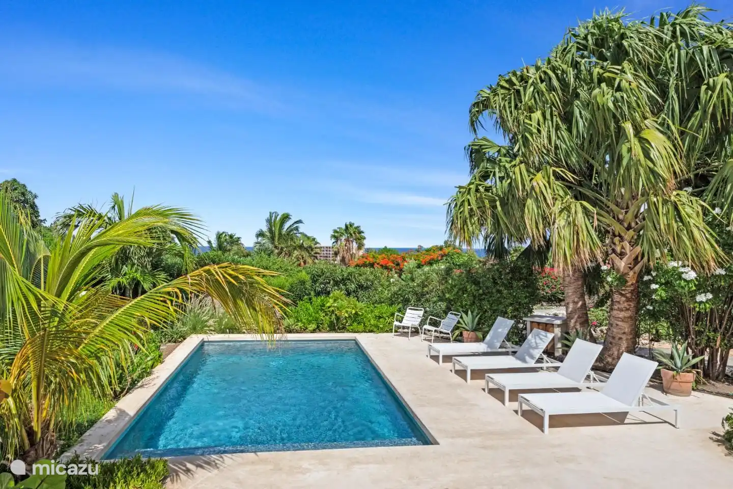 Swimming pool with sunbeds