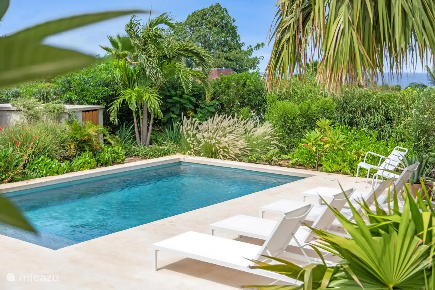 Swimming pool with sunbeds