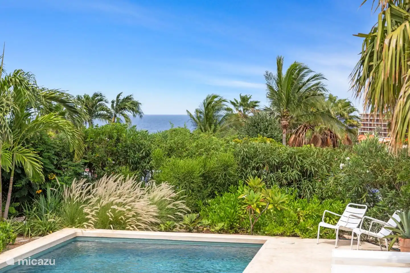 Swimming pool with sea view