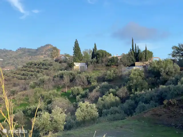 El Patio de la Loma  | Espagne, Costa del Sol, Comares - finca Finca La Loma, vue de l’ouest, avec de droite à gauche le portail et les cyprès, des parties de la maison et la terrasse jusqu’au verger de figuiers, d’amandiers et d’oliviers