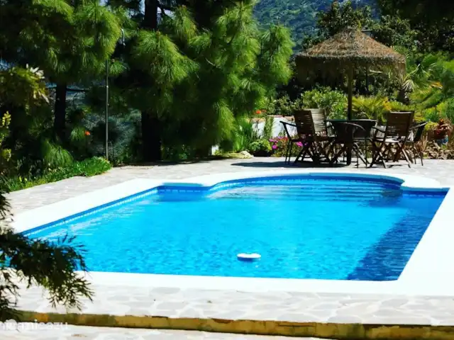 El Patio de la Loma  | Espagne, Costa del Sol, Comares - finca plongez lentement dans l’eau par les marches romaines ou plongez directement dans la partie profonde (de deux mètres)