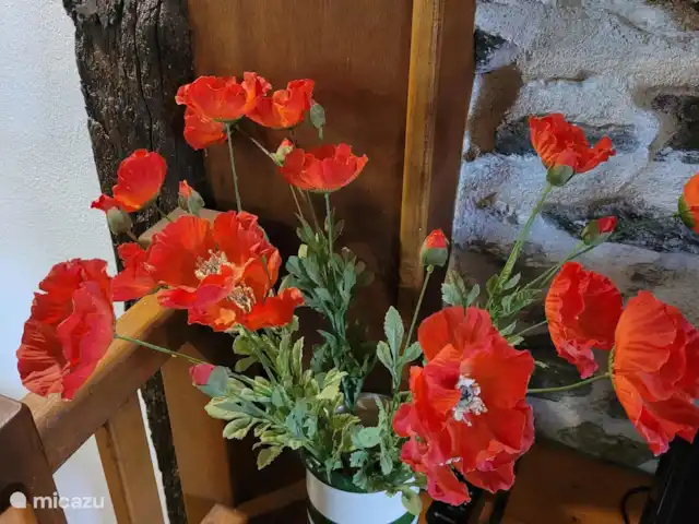 Gîte La Cave | France, Dordogne, Saint-Saud-Lacoussière - gîte / cottage Coquelicots