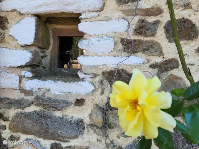 Gîte La Cave | France, Dordogne, Saint-Saud-Lacoussière - gîte / cottage Fenêtre avec rosace