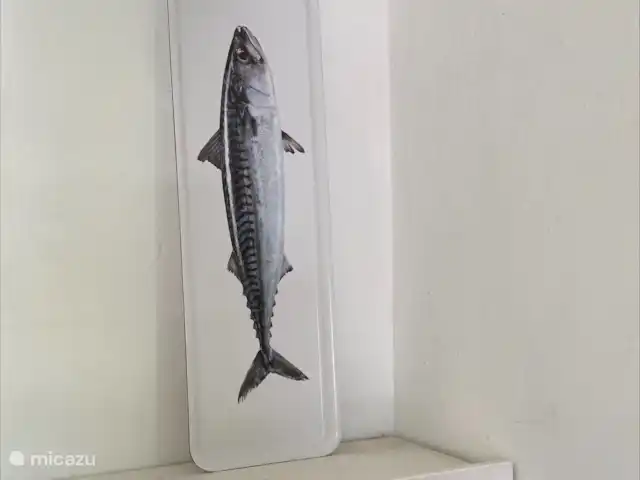 De Den en Países Bajos, Holanda Meridional, Ouddorp - casa vacacional