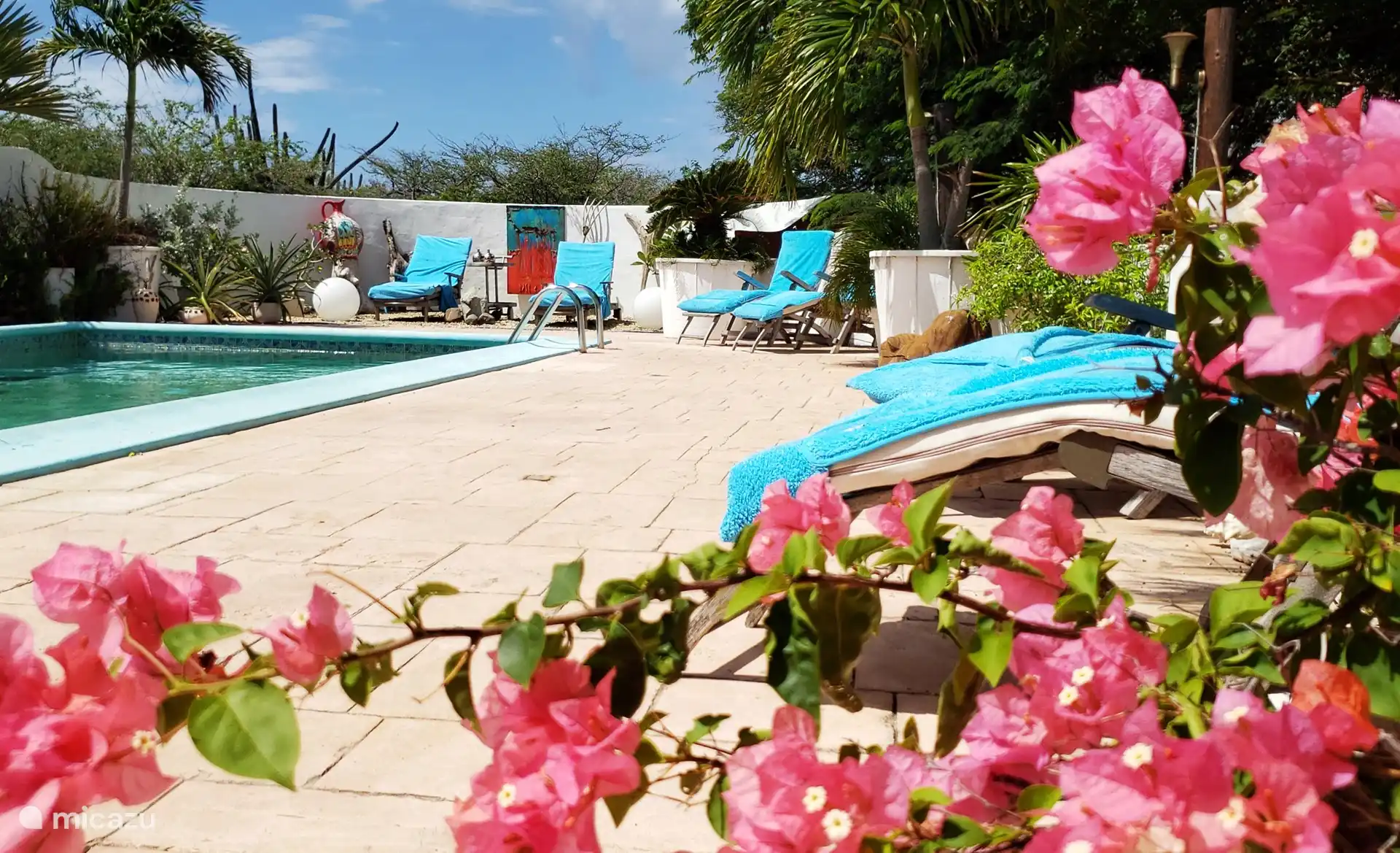 Natural Paradise Guesthouse