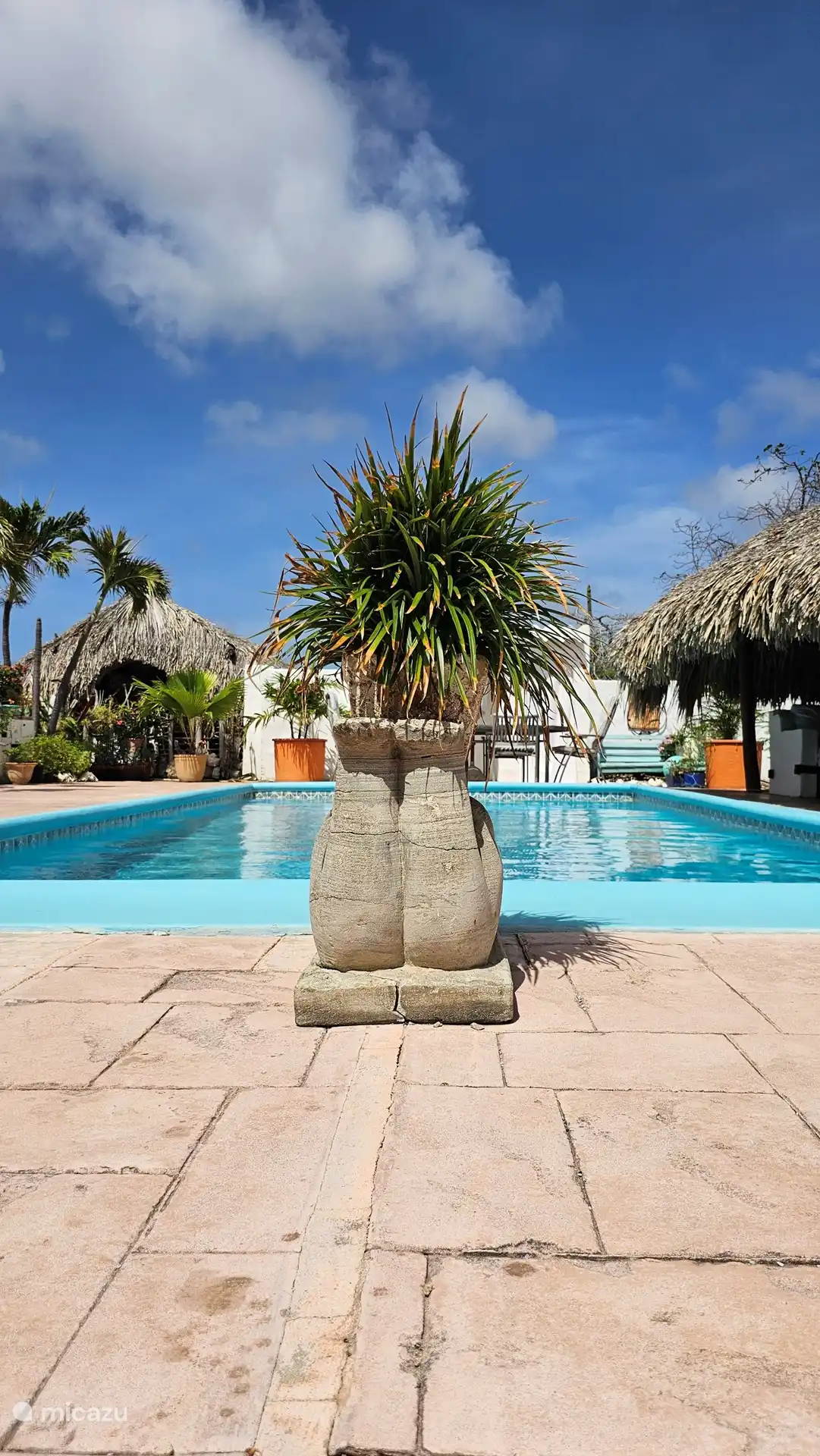 Descanso y disfrute junto a la piscina