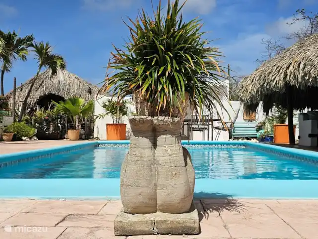 geschakelde woning huren in Aruba, Centraal Aruba, Savaneta – Natural Paradise Guesthouse Rust en genieten bij het zwembad