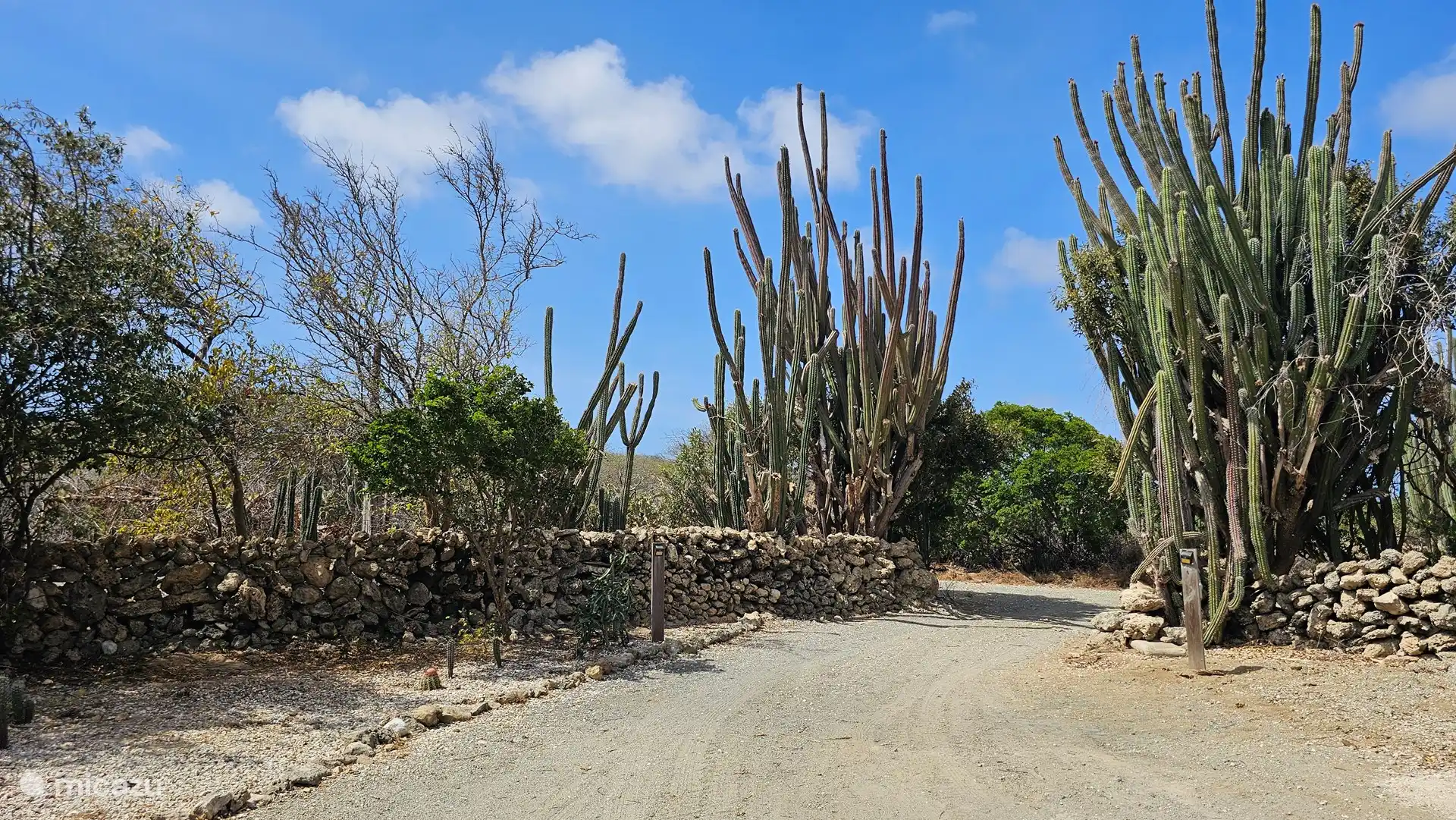 Su entrada privada y espacio de estacionamiento ofrece suficiente espacio para su(s) automóvil(es).