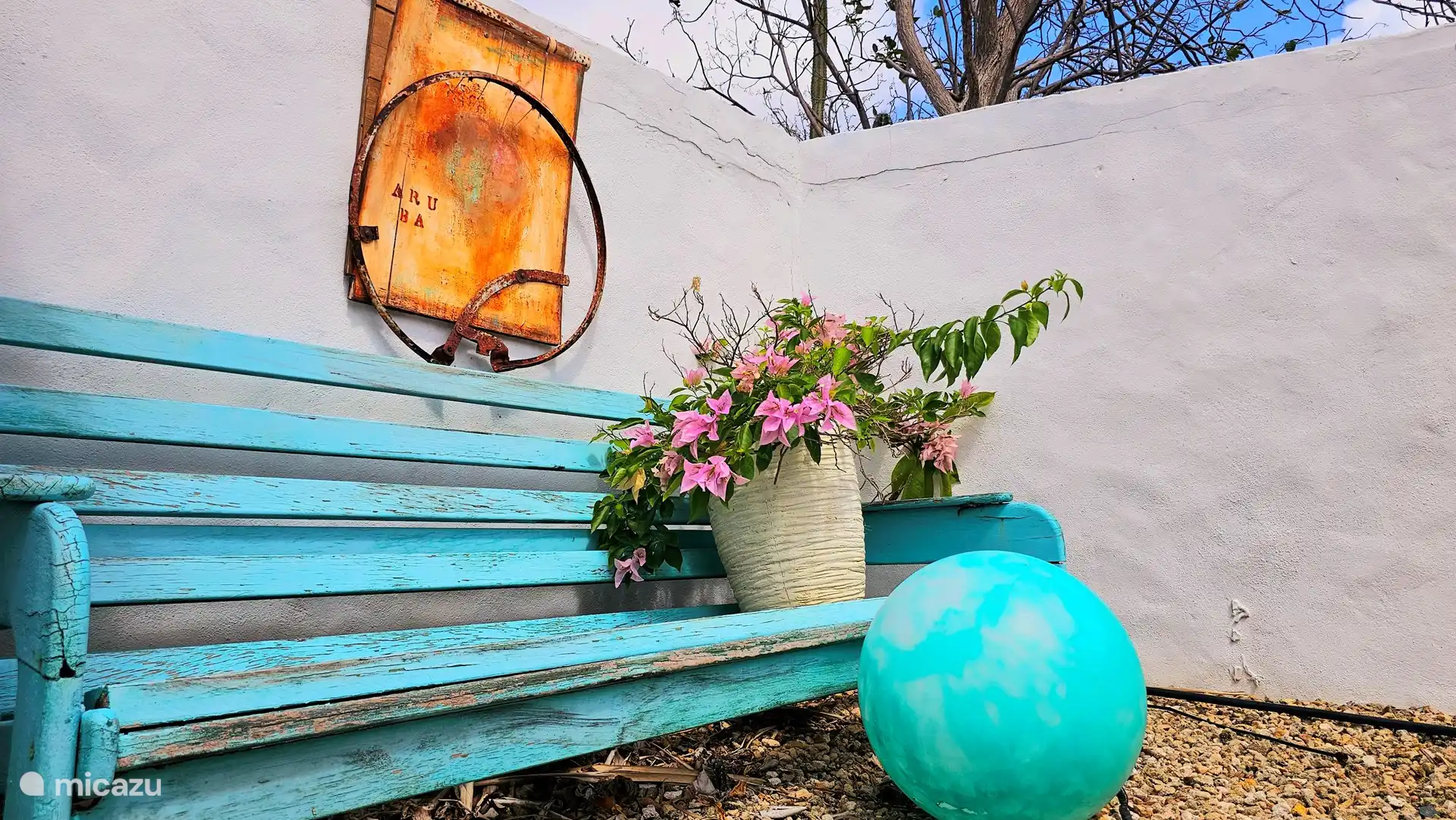 Siempre es un buen ángulo para una foto