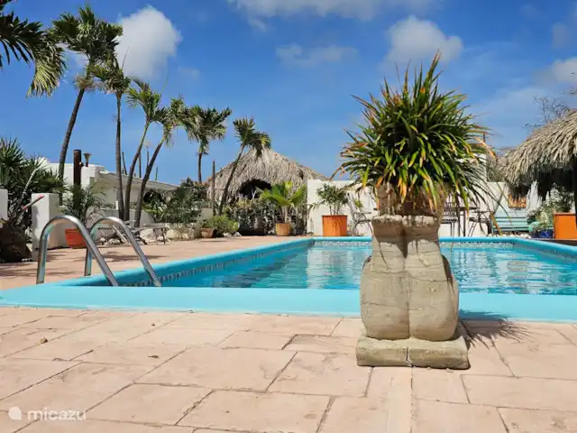 geschakelde woning huren in Aruba, Centraal Aruba, Savaneta – Natural Paradise Guesthouse Lekker genieten in je eigen privé zwembad in alle rust.