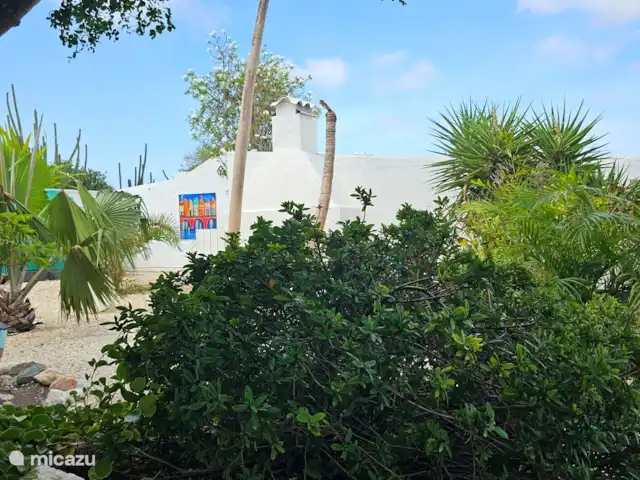 geschakelde woning huren in Aruba, Centraal Aruba, Savaneta – Natural Paradise Guesthouse De botanische tuin. Het guesthouse is gelegenheid op een landgoed waarvan het hoofdhuis waar de hosts verblijven een boegbeeld is.