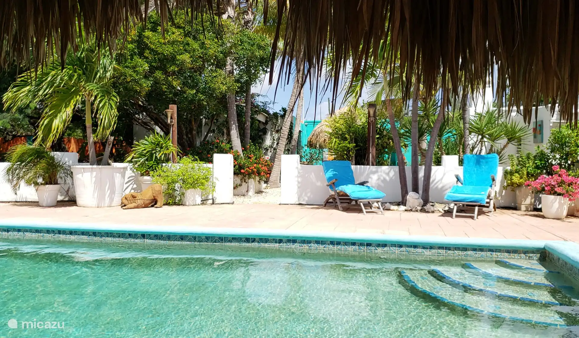 Las tumbonas son ideales para absorber los rayos del sol mientras pasa de una página a otra de su libro.