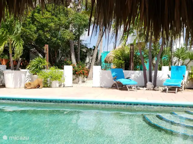 geschakelde woning huren in Aruba, Centraal Aruba, Savaneta – Natural Paradise Guesthouse De lounge bedden zijn ideaal om te genieten van de zonnestralen terwijl je van pagina naar pagina in je boek gaat.