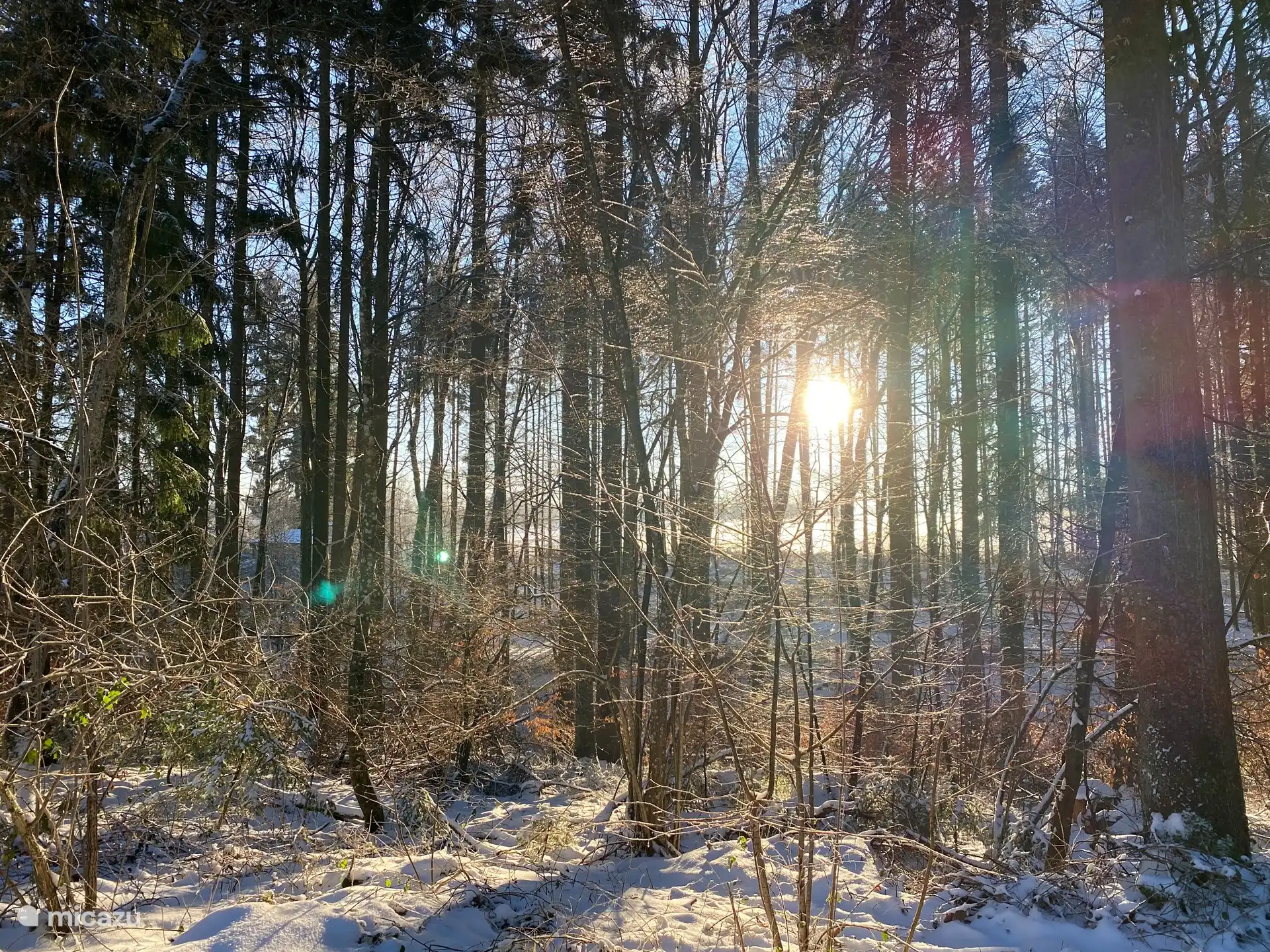Winter bei Wanderung direkt vom Haus aus