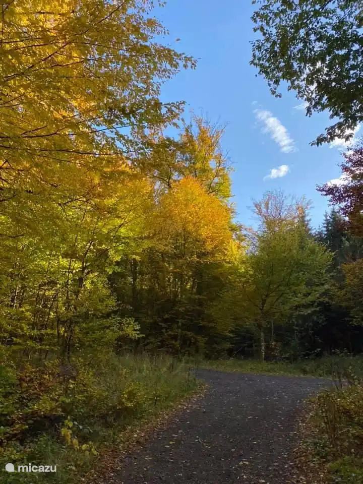 Jede Jahreszeit hat ihren Reiz, der Herbst ist großartig mit all diesen Farben