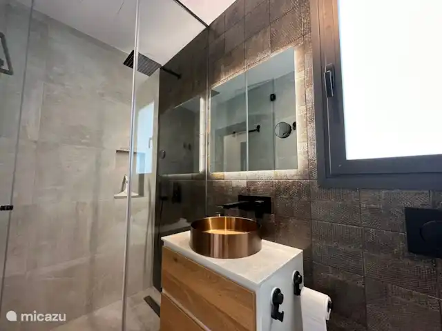 Location de Vacances Espagne, Costa Blanca, Rojales, appartement - Appartement élégant avec piscine privée Salle de bain attenante
