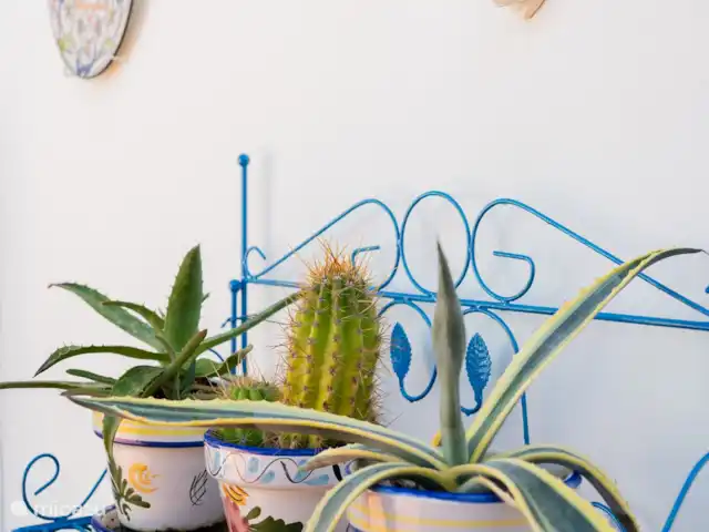 La casa Familia Costa Blanca huren in Spanje, Costa Blanca, Pego - vakantiehuis aankleding patio
