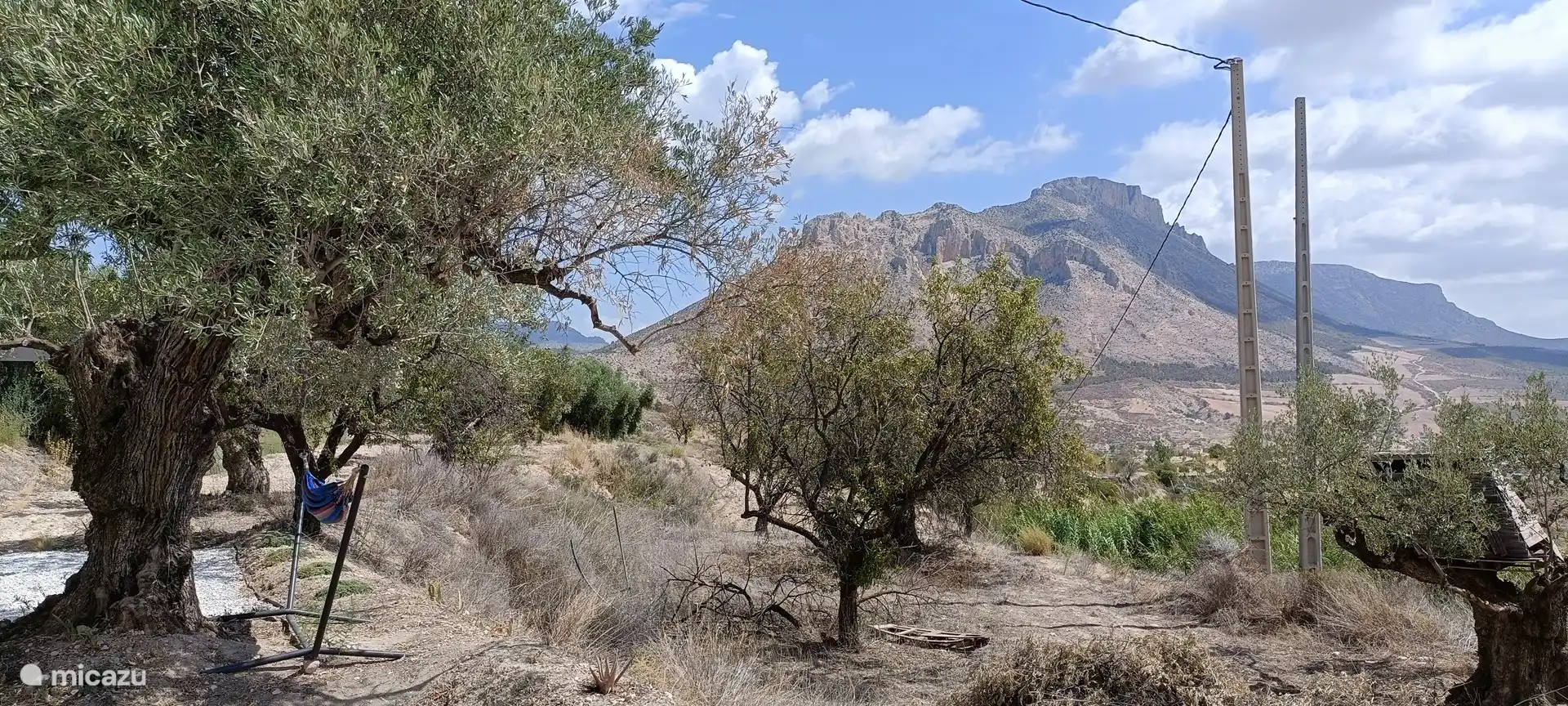 Vista desde el jardín (privado)