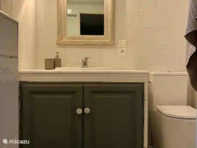 vakantiehuis huren in Frankrijk, Côte d´Azur, Cogolin – Maison le Galino Badkamer