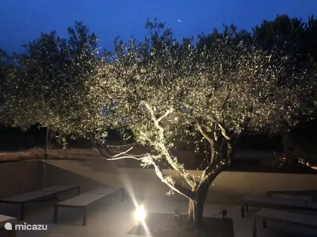 vakantiehuis huren in Frankrijk, Côte d´Azur, Cogolin – Maison le Galino Tuin