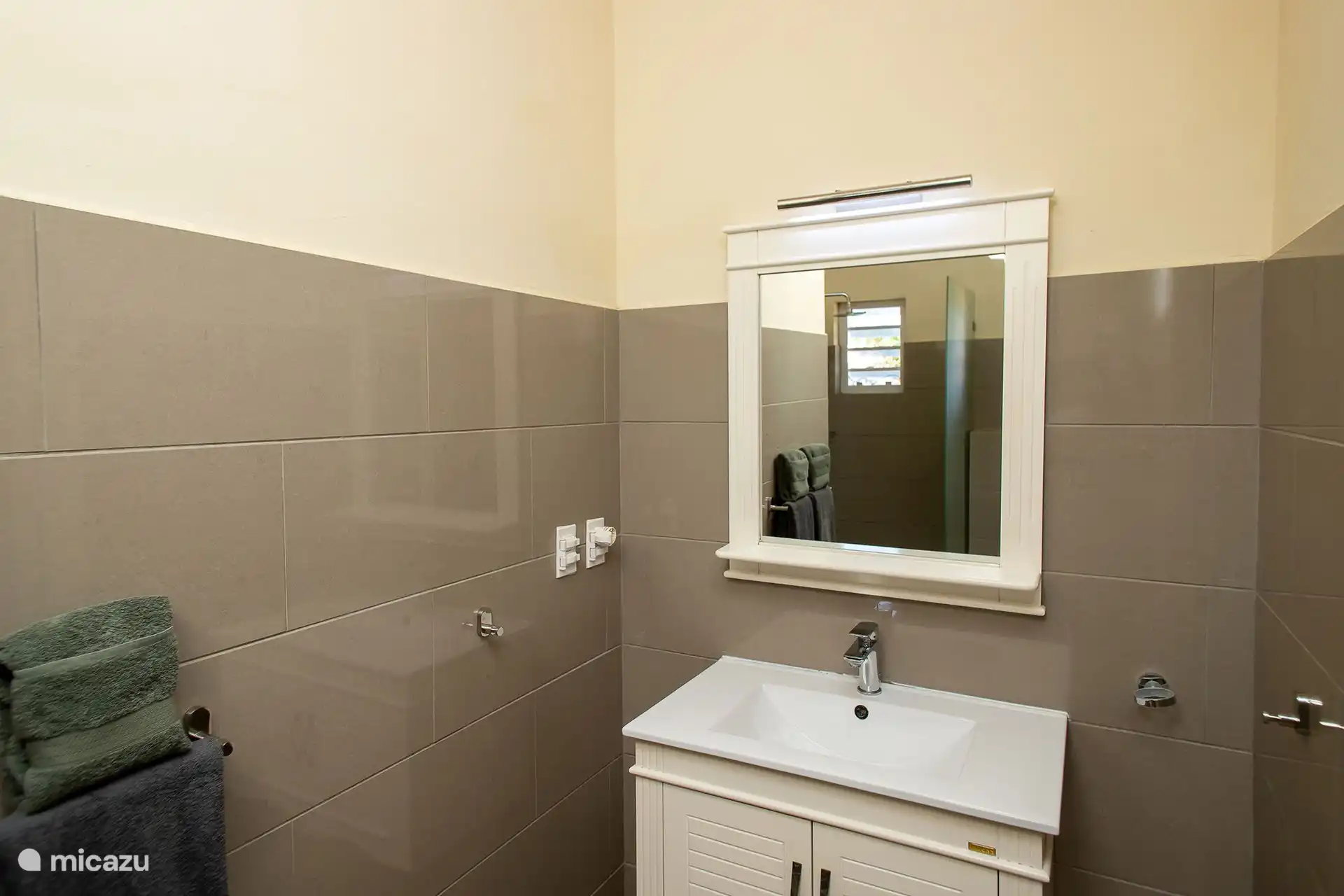 Salle de bain en suite