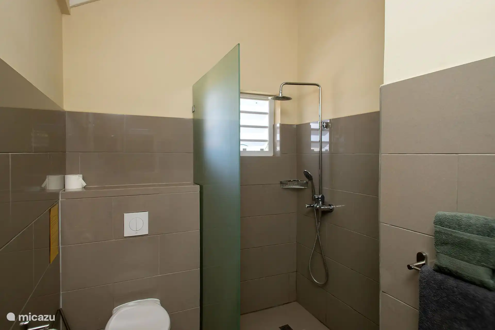 Salle de bain en suite