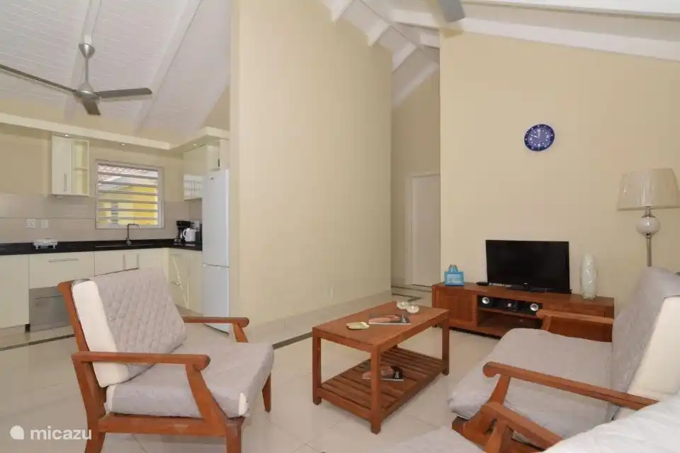 Salon et cuisine ouverte