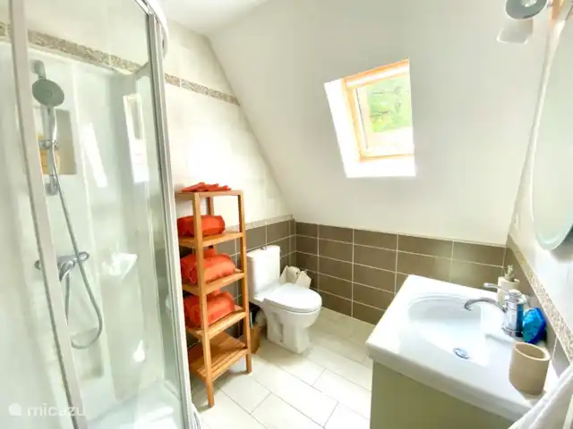 Flor de Châtaigne en Francia, Dordoña, Carsac - casa vacacional Baño
