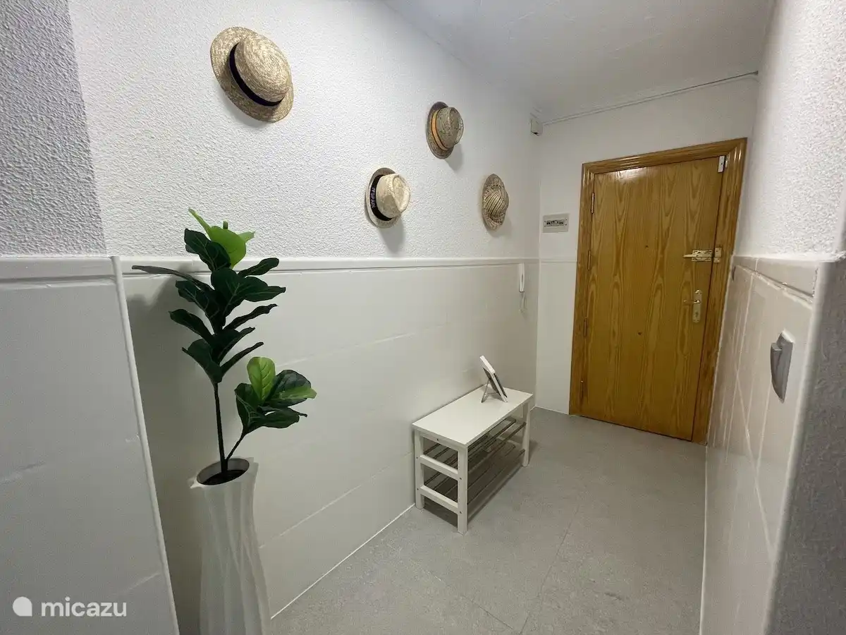 Puerta de entrada + pasillo