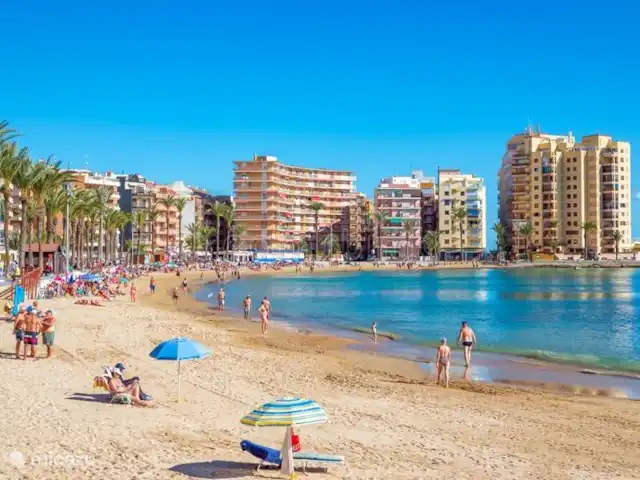 Torrevieja Playa en España, Costa Blanca, Torrevieja - apartamento Playa de Torrevieja