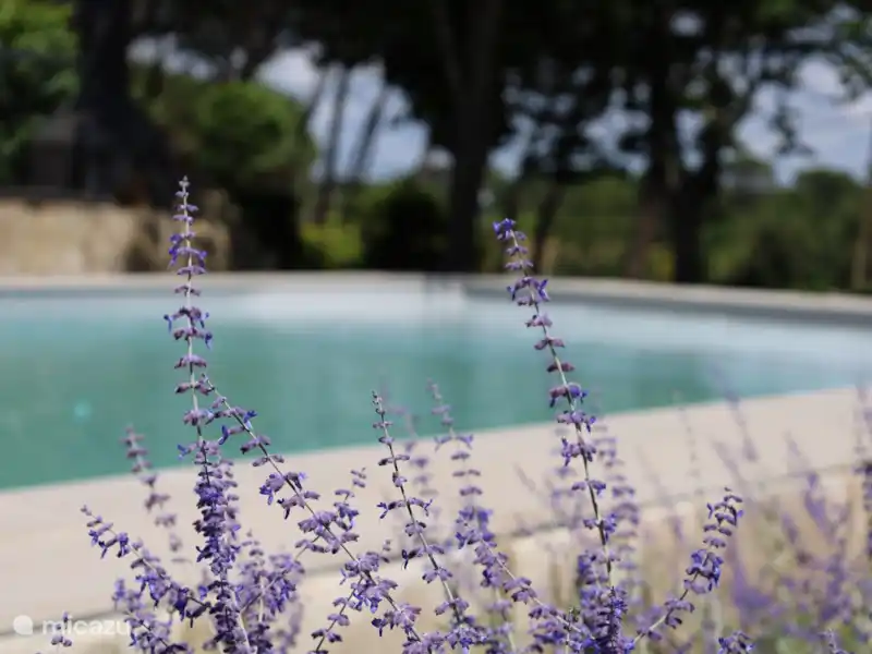 Can Jan Vives | Espagne, Costa Brava, Vidreres - Chambres d'hôtes Can Jan Vives | Espagne, Costa Brava, Vidreres - Chambres d'hôtes