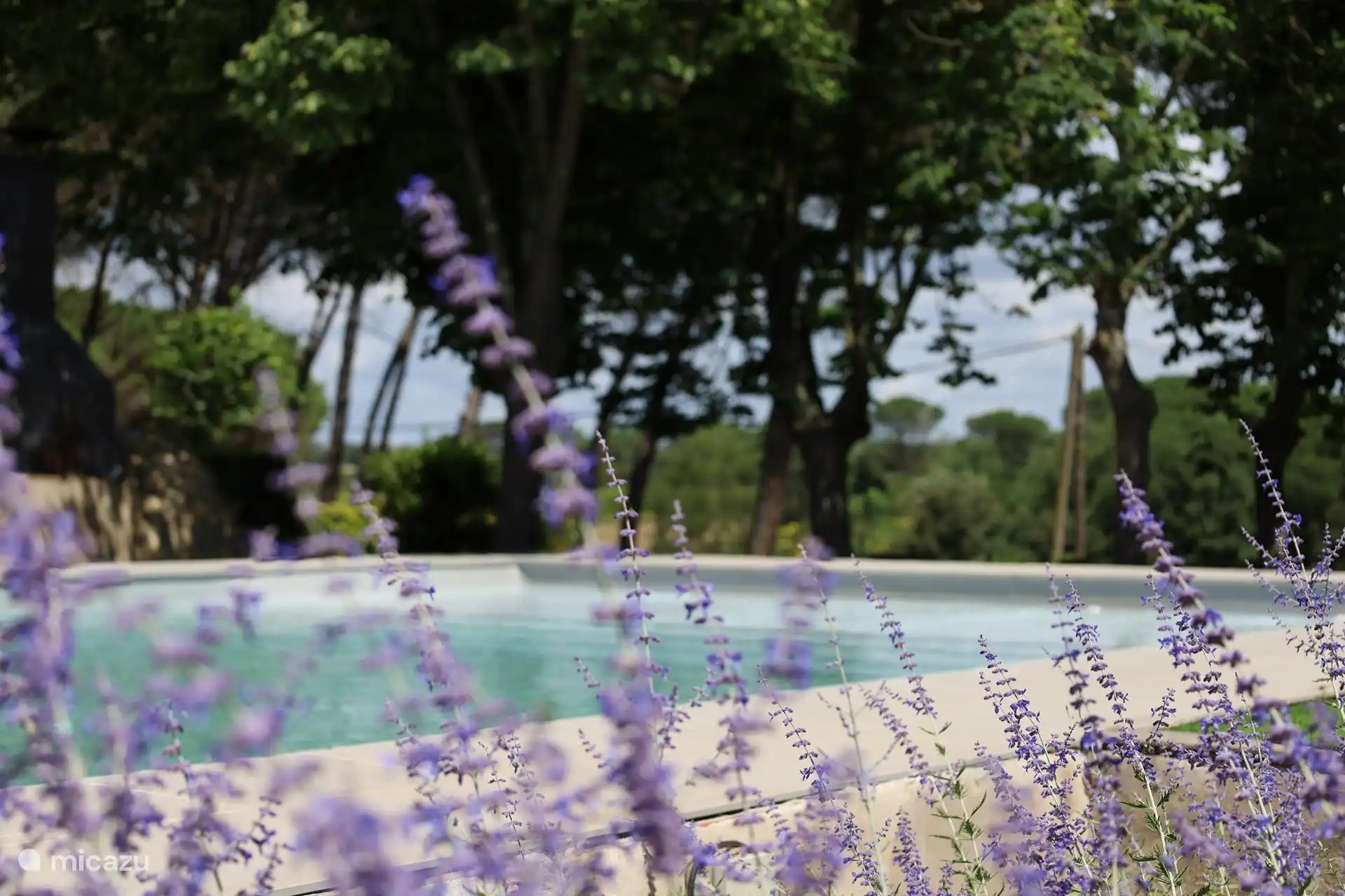 Une vue sur la piscine