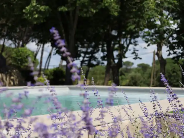 Location de Vacances Espagne, Costa Brava, Vidreres, chambres d'hôtes - Can Jan Vives Une vue sur la piscine