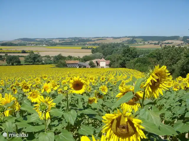 Le Gite de Migou en Francia, Tarn-et-Garonne, Larrazet - casa rural / cabaña ¡Rodeado de girasoles en verano!