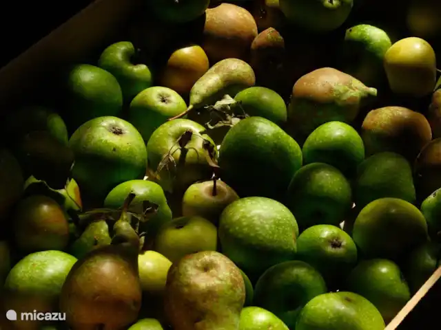 Le Gite de Migou en Francia, Tarn-et-Garonne, Larrazet - casa rural / cabaña Frutas y huevos de nuestro propio huerto.